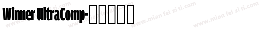 Winner UltraComp字体转换